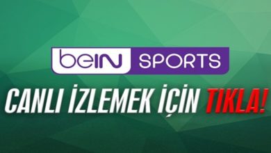 Erzurumspor - Adana Demirspor maçı CANLI İZLE (01.07.2020)